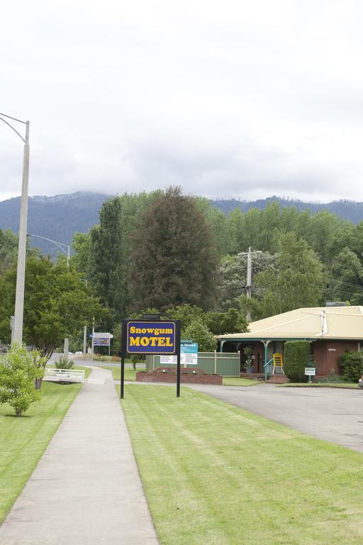 Snowgum Motel Маунт-Б'юті Екстер'єр фото