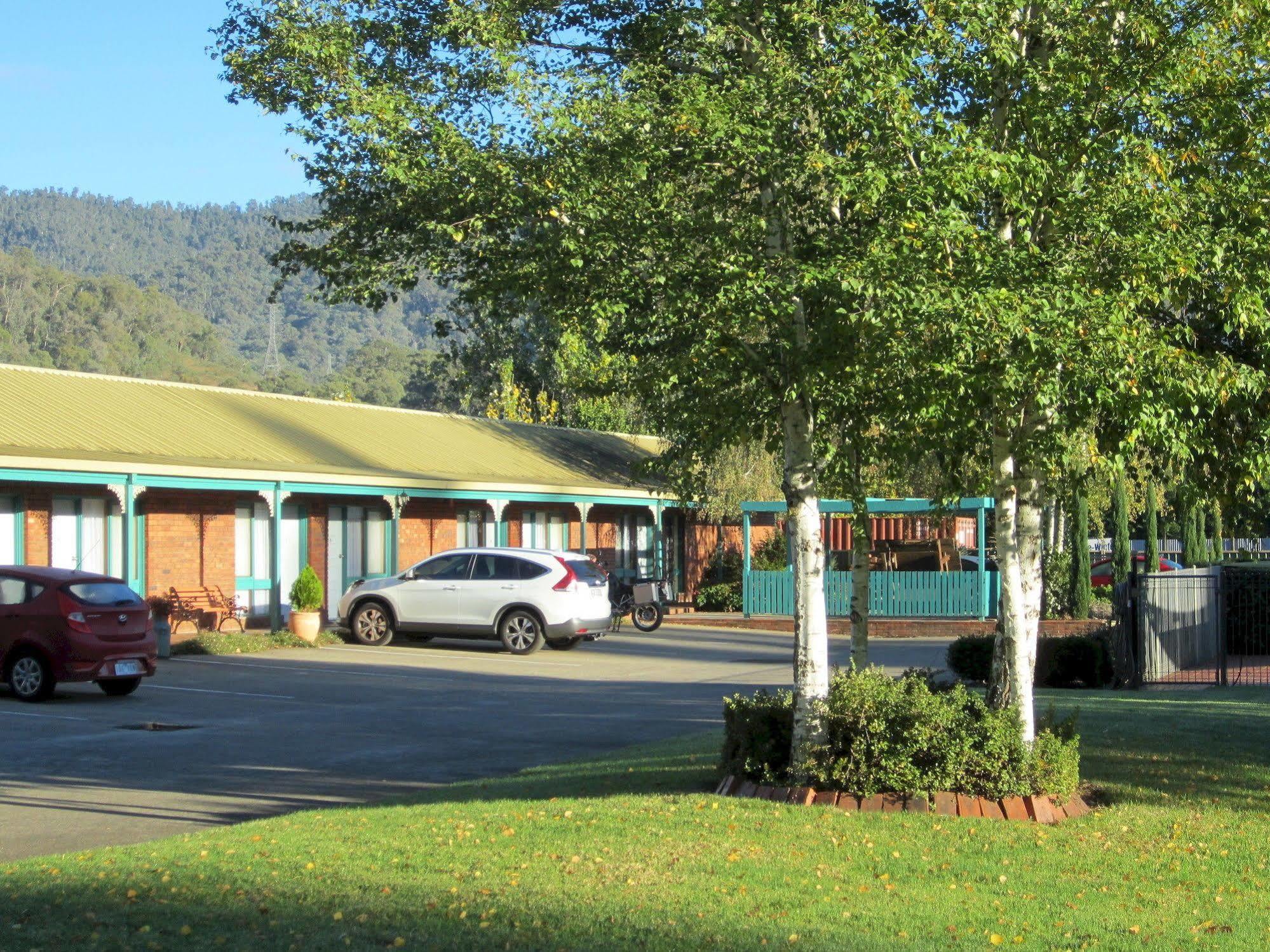 Snowgum Motel Маунт-Б'юті Екстер'єр фото